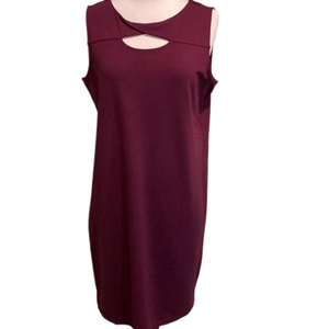 Chico’s Dress Size 1 ( Small 8-10 )